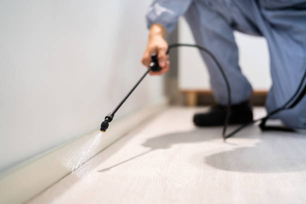 Licensed Termite Control service in Centerburg, OH - Nex Pest Control