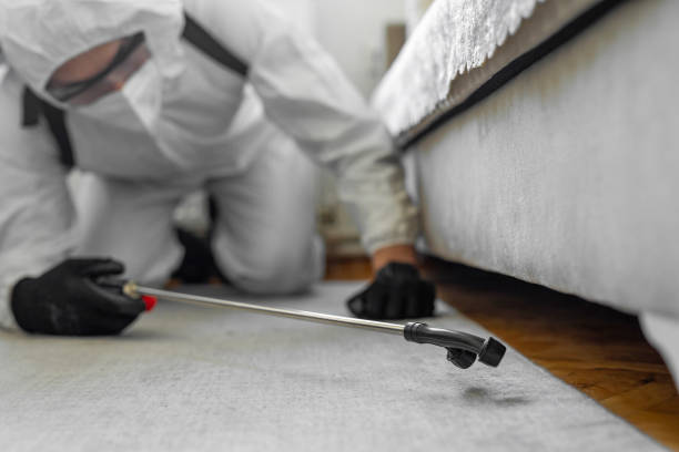Professional Termite Control technician working in Centerburg, OH