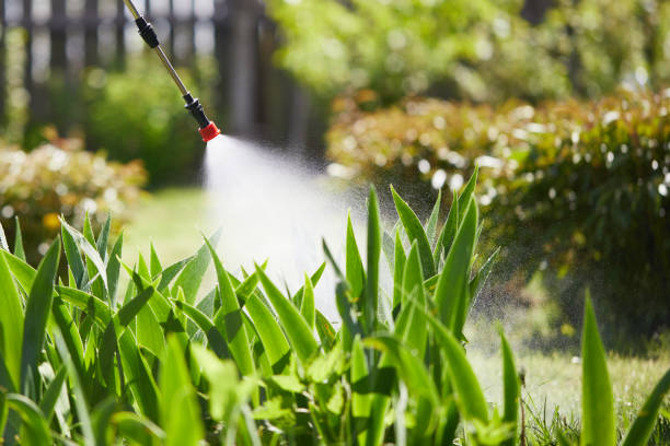 24/7 Emergency Termite Control experts in Centerburg, OH