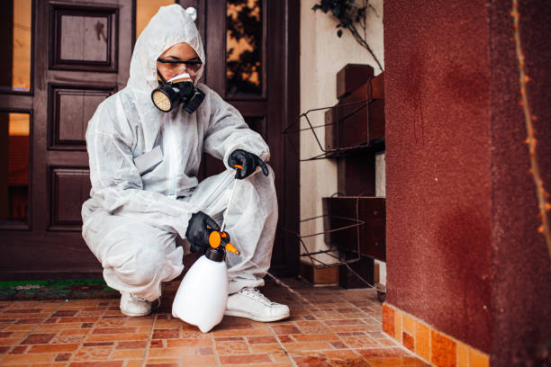 Reliable Termite Control contractor in Centerburg, OH by Nex Pest Control