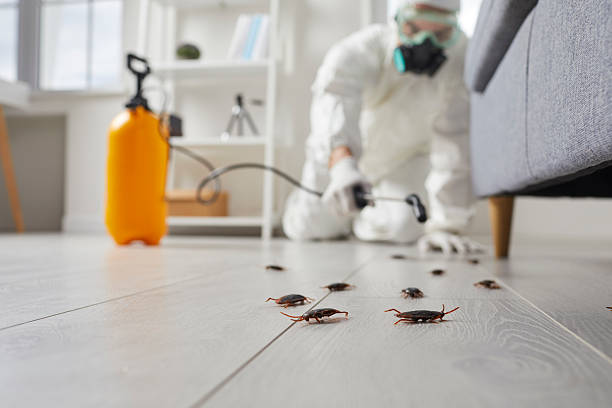 Affordable Termite Control solutions in Centerburg, OH