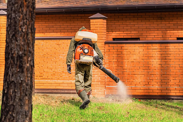 Top rated local Termite Control specialists in Centerburg, OH